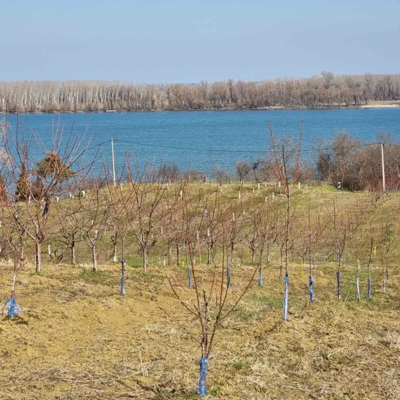Odličan plac sa pogledom na Dunav-bez provizije (3)