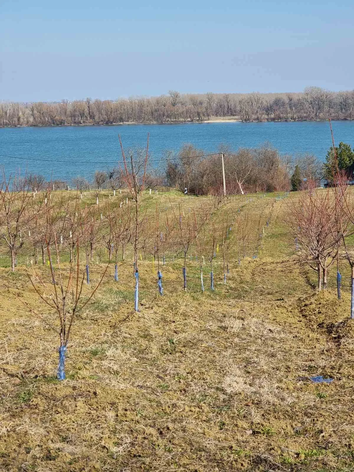 Odličan plac sa pogledom na Dunav-bez provizije (4)