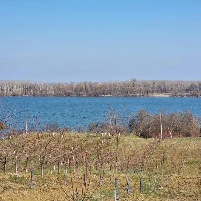 Odličan plac sa pogledom na Dunav-bez provizije (5)