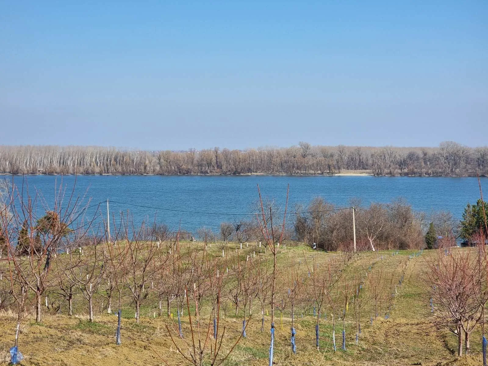 Odličan plac sa pogledom na Dunav-bez provizije (5)