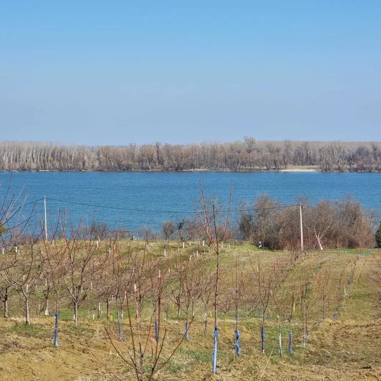 Odličan plac sa pogledom na Dunav-bez provizije (6)