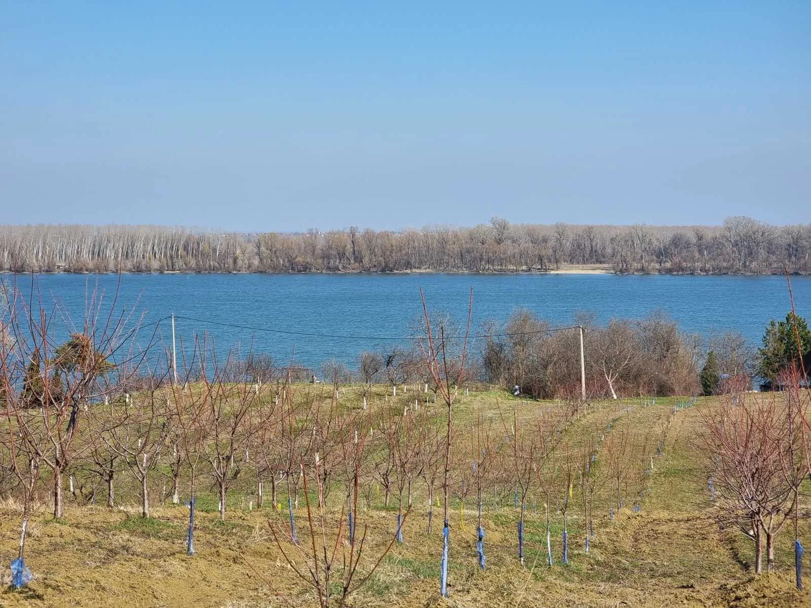 Odličan plac sa pogledom na Dunav-bez provizije (6)