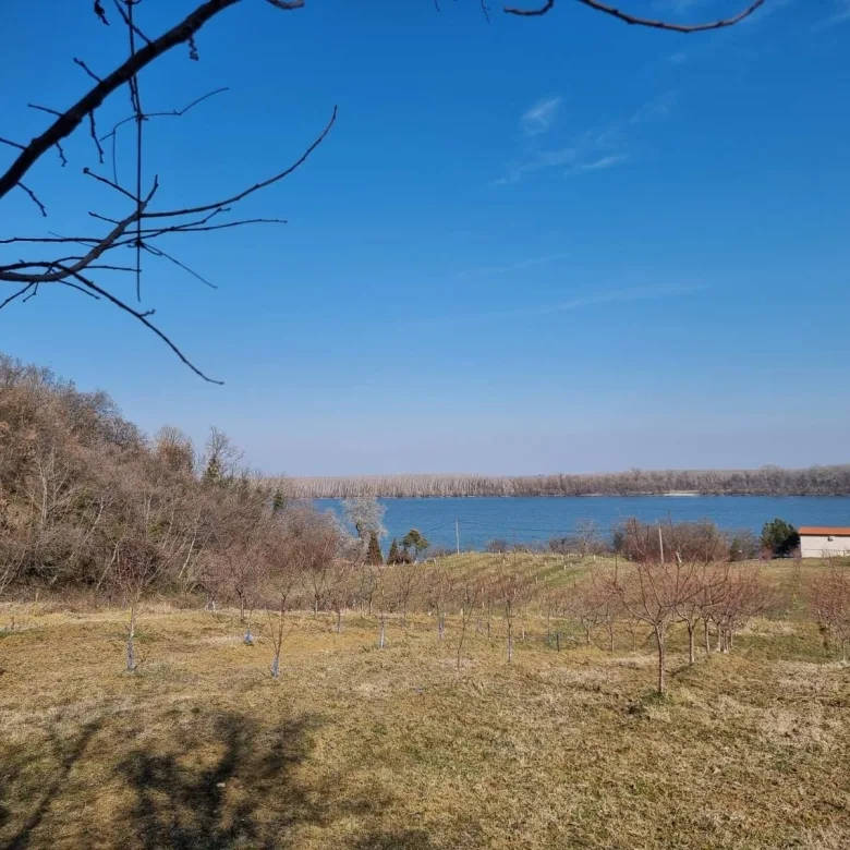 Odličan plac sa pogledom na Dunav-bez provizije (7)