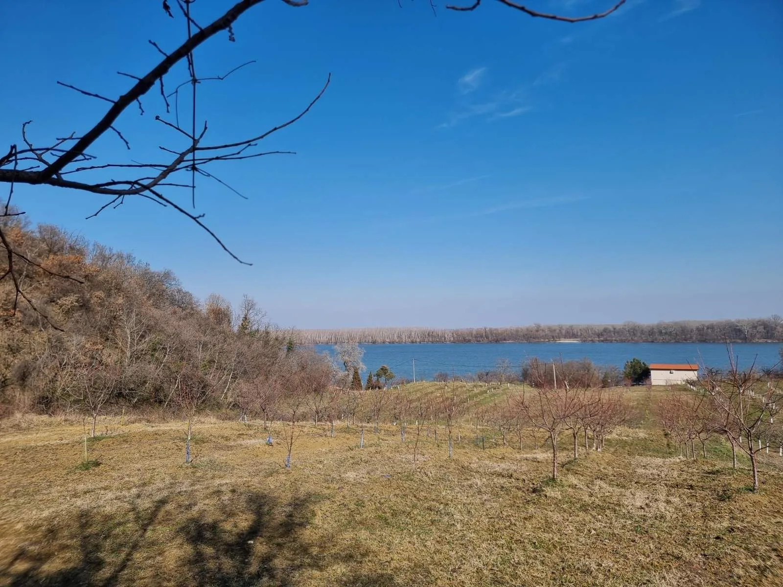 Odličan plac sa pogledom na Dunav-bez provizije (7)