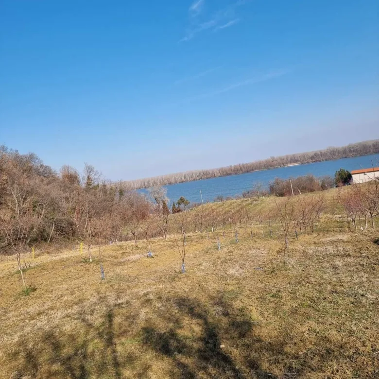 Odličan plac sa pogledom na Dunav-bez provizije (8)