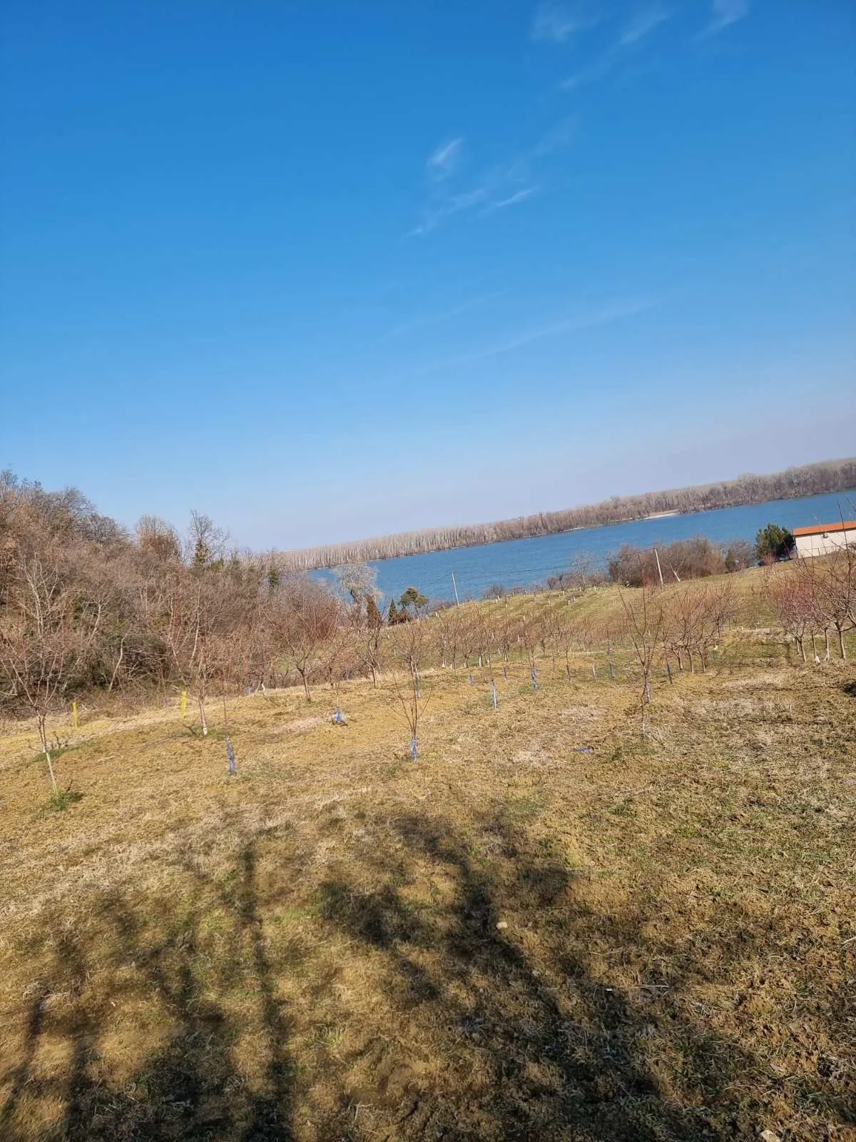Odličan plac sa pogledom na Dunav-bez provizije (8)